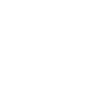 RADII China Logo